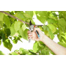 Секатор GARDENA B/L 08906-20.000.00
